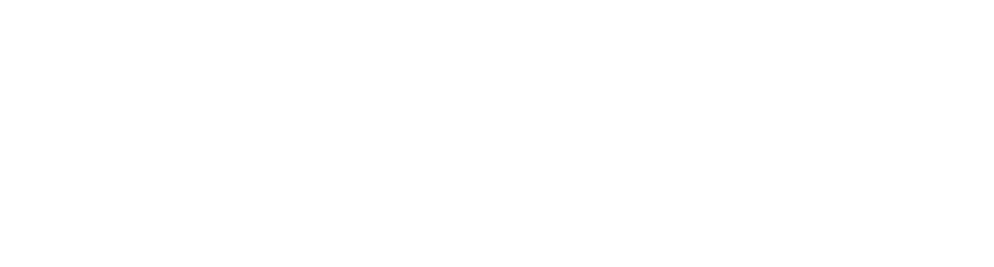 imput logo